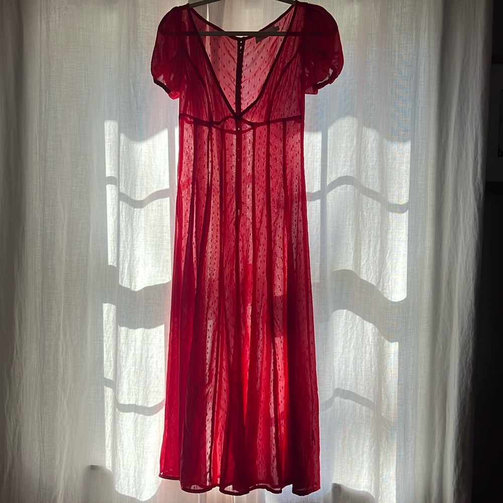 Choosy Sheer Gown